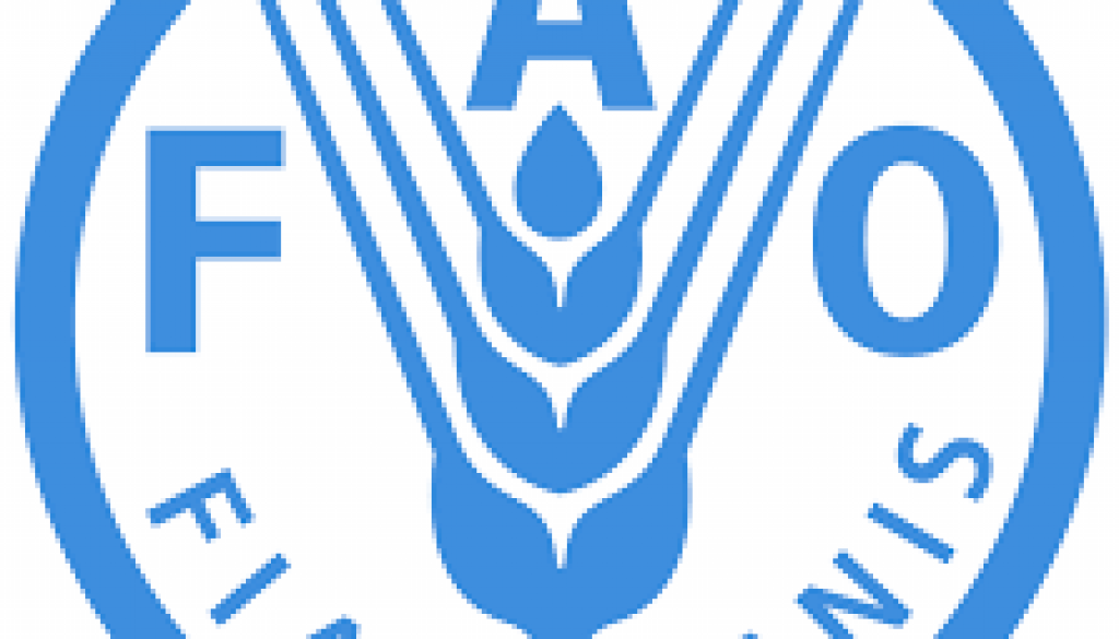 Food Security Cluster Co-Coordinator, Job Ref. MZ/FAO/0505/2502